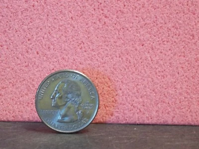 Dollhouse Miniature Carpet Rug Blush Pink 2PC 1:12 1:24 1:48 A67 Dollys Gallery