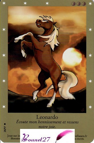 CARTE CARD Cheval Horse " BELLA SARA " EDITION DE BASE N° AUX CHOIX - Imagen 27 de 88