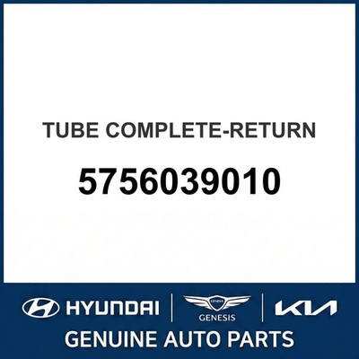 2000-2005 Hyundai XG300 Schlauch Komplett-Retoure OEM Neu 5756039010