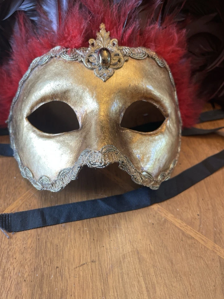 CIRQUE DU SOLEIL HERMOSA MÁSCARA, PLUMAS NATURALES. Hecho en Italia Foto 2 de 4