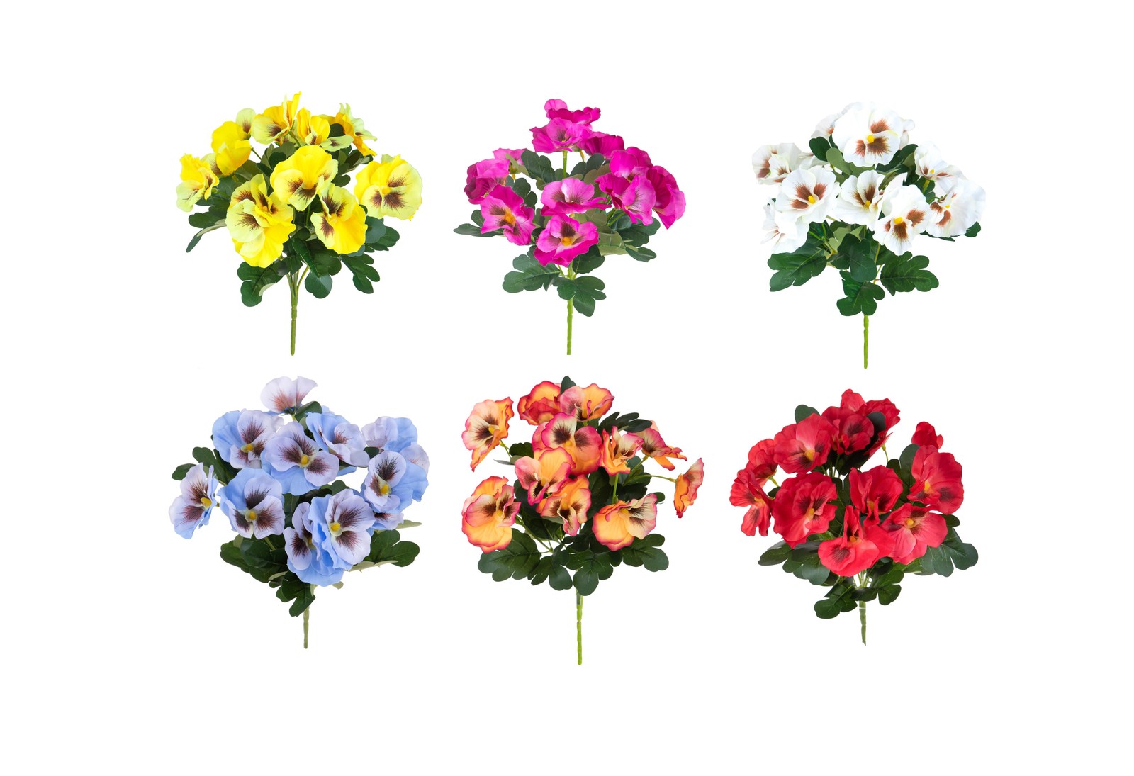 Set 6 Cespugli di Viole Assortiti | Crea il tuo Giardino Eterno