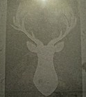 Foto 6 di 11