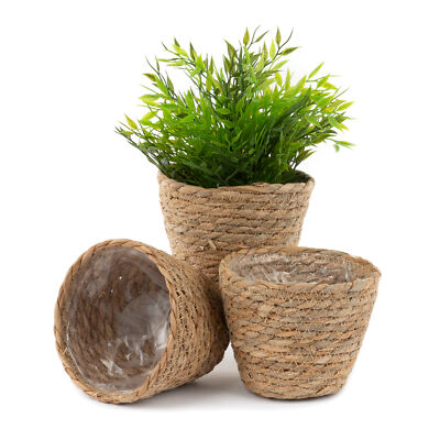 3x Seegras Korb Bauch Blume Pflanze geflochten Aufbewahrung Weiden Topf Haus Wäsche Kraut