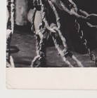 Picture 6 of 7