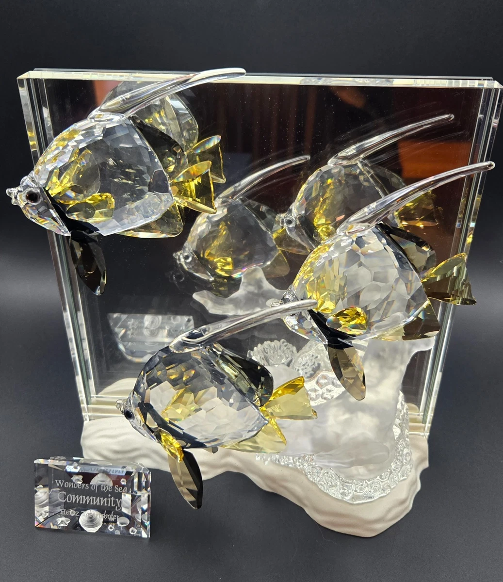 施华洛世奇Wonders of the sea | eBay