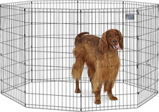 Folding Metal Dog Exercise Pen, Indoor/Outdoor Playpen with No Door, Provides 16