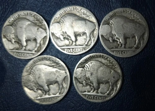 Lot of 5 - 5c Buffalo Indian Head US Nickles Nickel Coins circulated. No Date