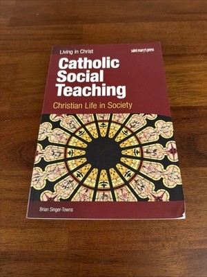 Catholic Social Teaching, student - Paperback, by Singer-Towns Brian