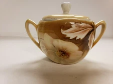 Vintage Porcelain Sugar Bowl with lid R.S. Tillowitz Earth tones flower peach