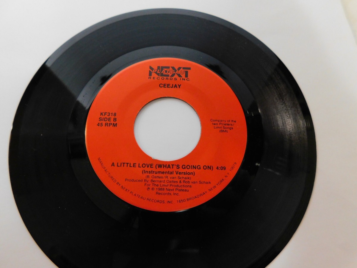 Ceejay – A Little Love (What's Going On) 1988 7
