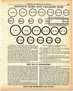 Shotgun Bore Diameter Chart