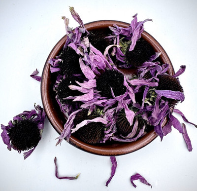 Greek Echinacea Flower Purple Coneflower  20g - 1.9kg Echinacea Purpurea