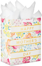 Large 13" Mother's Day Gift Bag with Tissue Paper - Pastel Floral Stripe