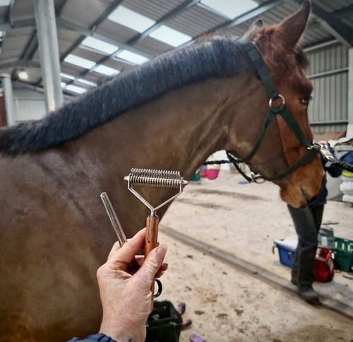 🐴Masterclip Horse Mane and Tail Rake for Tidying also Thinning a Cushings Coat - Picture 12 of 21