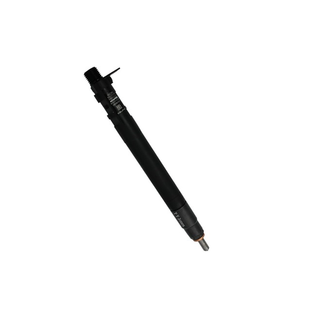 Delphi r00101dp форсунка