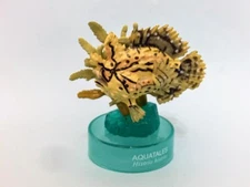 Kaiyodo Aquatales Sea life Bottle cap Histrio Sargassum frog fish figurine