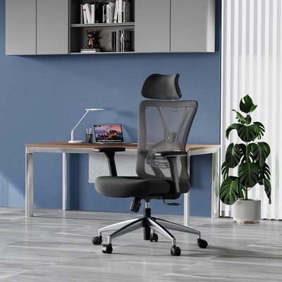 Ticova Ergonomic Office Chair - High Back Desk Chair with