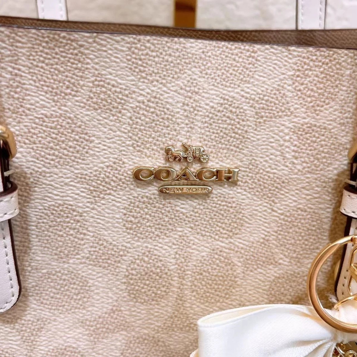 NWT Coach Mollie Tote 25 In Signature Canvas crossbody strap CV965