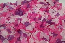 Biodegradable Confetti - Purple, Pink & Cerise - Romantic Hearts - Add cones?