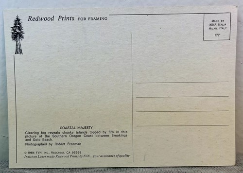 Lot 2 Postcards Redwood Prints For Framing Redcrest California 1984 Coastal - Picture 5 of 6