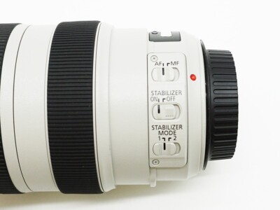 Near Mint Canon EF 70-300mm f4-5.6 L IS USM Lens Fast Shipping | eBay