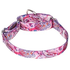 Serijoars Adjustable Martingale Dog Collar Heavy Duty Nylon Dog Collar for Me...