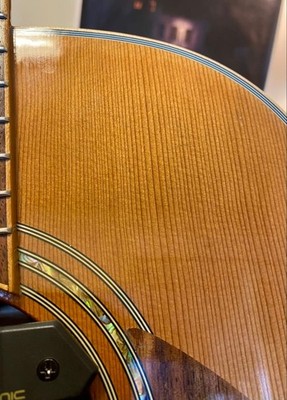 Greg Bennett SJ proto? Electric acoustic specification top veneer