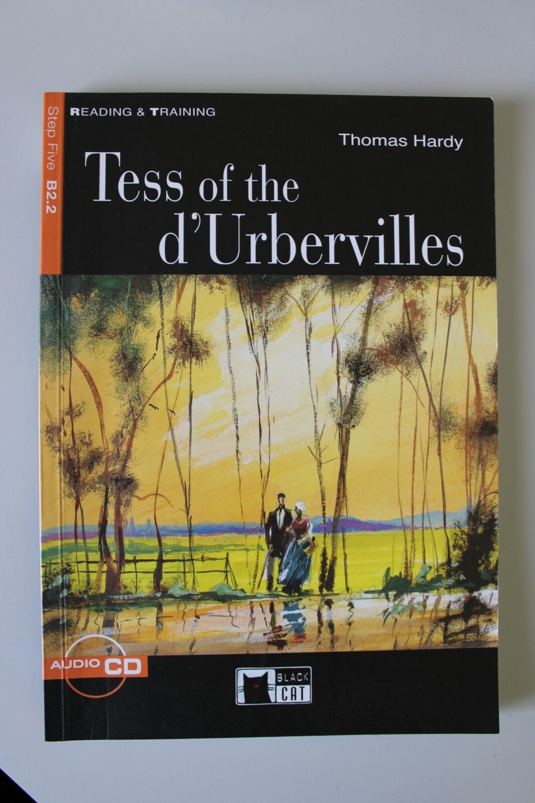 Libri Jules Verne / Thomas Hardy / Jacqueline Tschiesche
