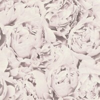 4 Rollen Rasch 464252 Vliestapeten Freundin 0,69€/M. Floral,Rosa Rose