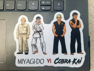 COBRA KAI MIYAGI DO VS COBRA KAI KARATE KID 4