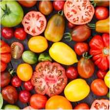 Kit de Graines Tomates, 20 Variétés Au Choix, Semences Seed