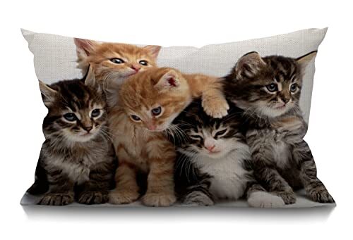 Cozy Cats Farmhouse Rectangle Decorative Sign Kittens Family SWN06