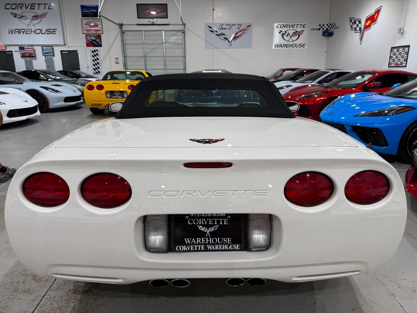 2001 [40U] Speedway White Chevrolet Corvette   | C5 Corvette Photo 5