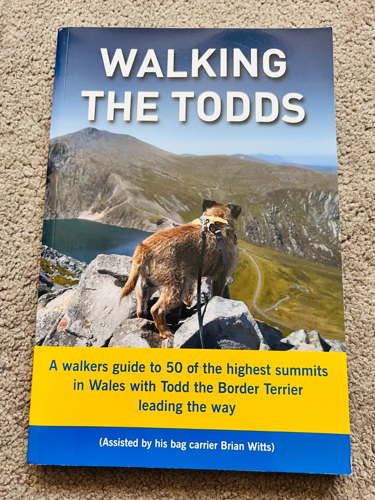 WALKING THE TODDS by BRIAN WITTS - signed by the author (SB857)