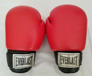 luva de boxe 14oz everlast
