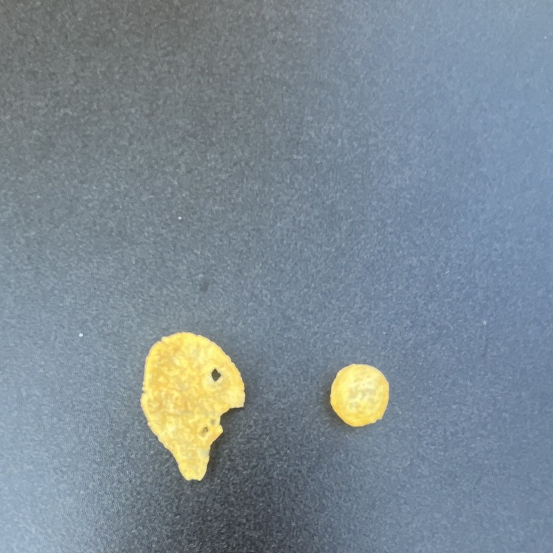 Fully puffed up regular corn flake (one on the right).