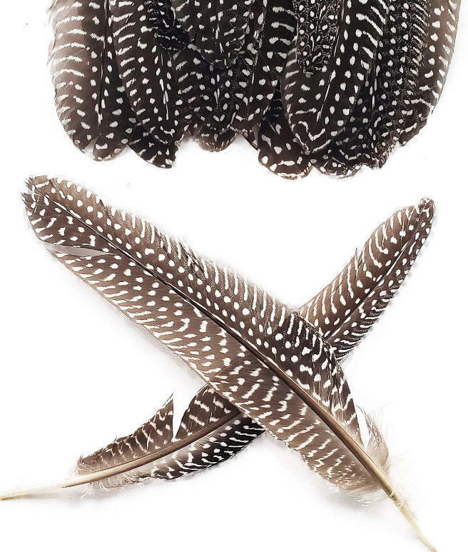 20pcs 6-9 inch Natural Guinea Wing Plumage Feather DIY Craft Jewelry Cloth Decor