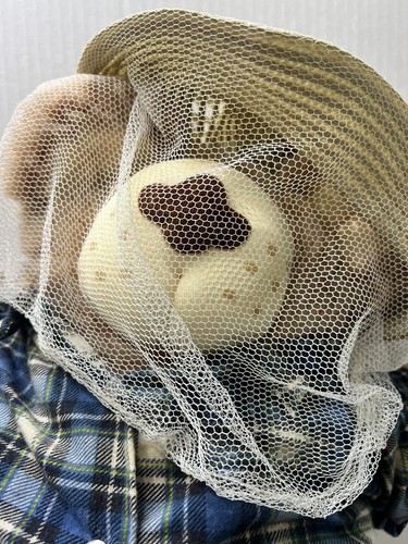 Vintage Furskins Boone The Beekeeper Bear Plush - Picture 2 of 8