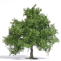 Busch 3661 H0 Kleine Eiche 95 Mm, FrüHling Neu Ovp<