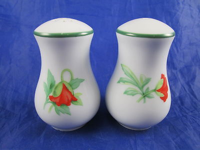 Royal Worcester Porcelain Floral Botanical Flower Salt & Pepper Shaker Set