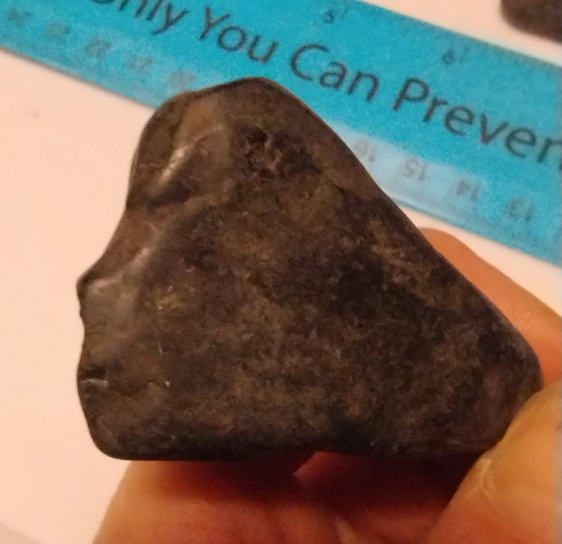  AUTHENTIC INDIAN EFFIGY BIRD FACE STONE TOOL CELT ARTIFACT COLLECTIBLE RELIC