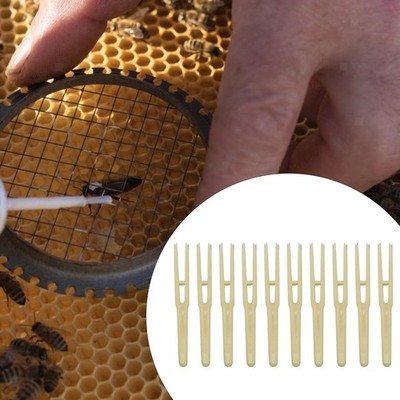 10pcs Queen Bee Geburtenkontrolle Pinzetten bequeme Imbücherausrüstung