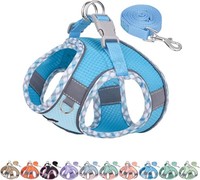 Hundegeschirr Und Leine Set FüR Kleine Hunde Und Katzen, Blau Xxxs