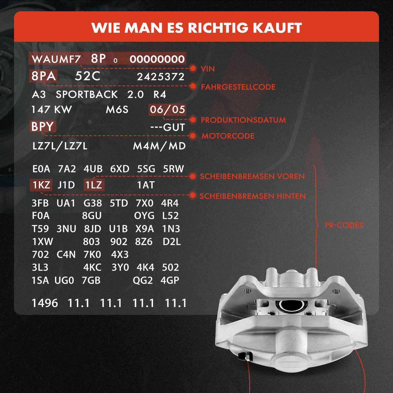Bild 9 von 9