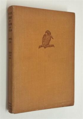 EVENS (ROMANY) Out With Romany: By Meadow and Stream