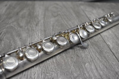 Miyazawa PCM-300 Flute Hard Case | eBay