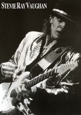284014 Stevie Ray Vaughn Guitar Solo PRINT POSTER