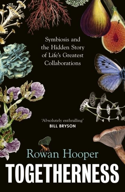 Togetherness by Rowan Hooper Hardback