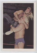 1988 Wonderama NWA Michael Hayes Ric Flair #107 z9k