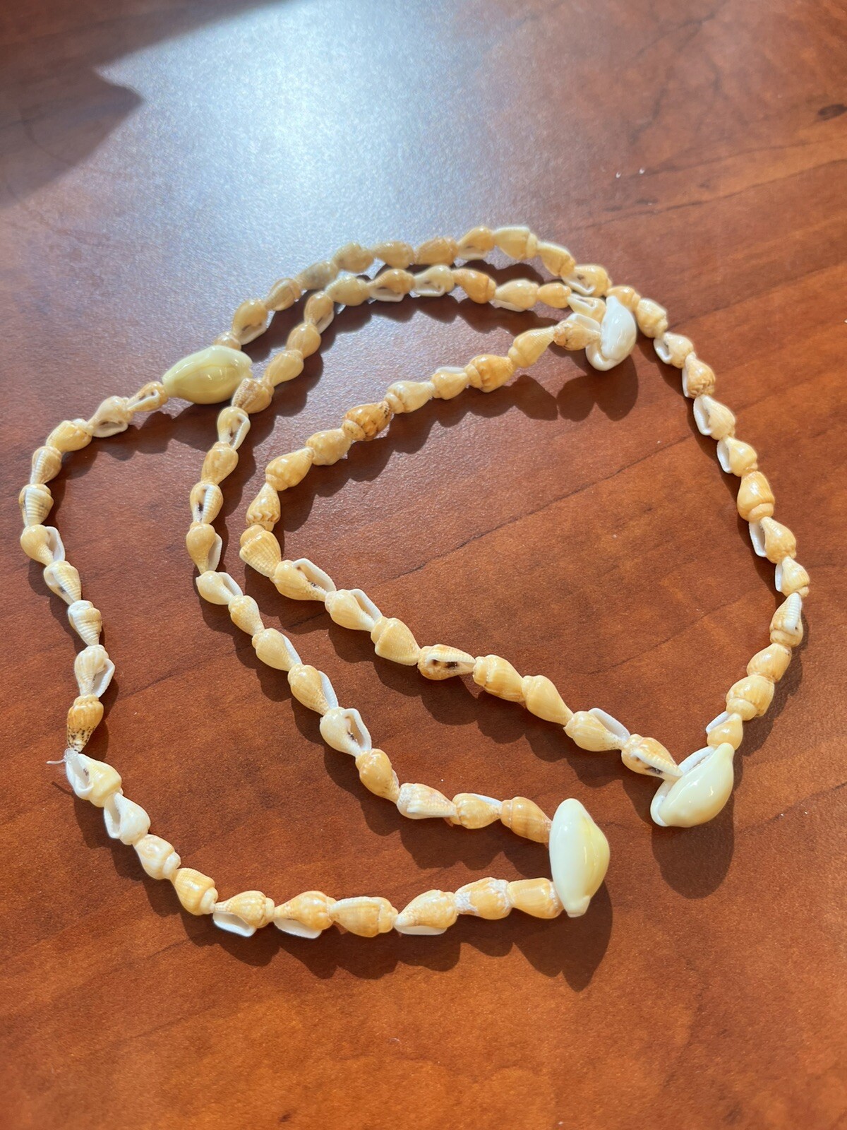 Vintage Hawaiian Mini Conch Cowrie Sea Shell Necklace Natural